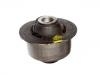 Suspension Bushing Suspension Bushing:10255029